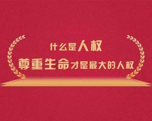 害陶大宇离婚的郭羡妮，付出的代价够高吗？游戏画面
